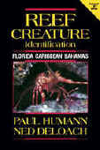 Reef Creature Identification -- The scientifically up-dated text, illustrated with more than 660 fascinating photos, is the most comprehensive and beautiful visual ID reference published for marine invertebrates of the Florida Caribbean and Bahamas region. -- ISBN# 1-878348-31-0 -- By: Paul Humann -- New World Publications