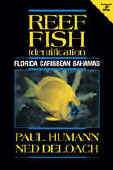 Reef Fish Identification 3rd Edition -- The enlarged 3rd edition has grown by 20 percent including the addition of more than 100 exciting new fish species. The scientifically up-dated text now boasts 825 classic marine life photographs of 600 common and rare reef fish species. The easy to use, quick-reference format designed for divers makes it a snap to identify the myriad fishes that inhabit the waters of Florida, the Caribbean, Bahamas and now Brazil! -- by Paul Humann -- Online Diving Bookstore