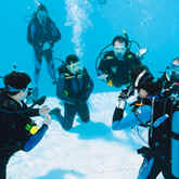 Perfect your buoyancy skills with the Diamond Reef Course at Scuba Center in Eagan, Minnesota