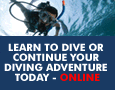 PADI&nbsp;eLearning Scuba Certification Courses | Start your scuba lessons online!