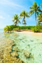 Palm Tree Beach: | We carry a wide range of snorkeling equipment and scuba diving equipment online and in our retail Scuba Center dive stores. From entry level scuba diving equipment to wreck diving and technical diving gear, Scuba Center is your source for quality gear. Our massive scuba diving equipment selection includes a host of accessory equipment companies and underwater photo/video equipment manufacturers. We also carry equipment for Public Safety Diving and Surface Water Rescue.