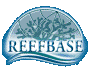 ReefBase is the world's premier online information system on coral reefs, and provides information services to coral reef professionals involved in management, research, monitoring, conservation and education. -- Ocean Conservation and Marine Environment References
