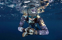 PADI Freediving Certification | 