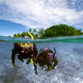 PADI Specialty Course Instructor information | www.padi.com