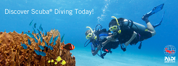 PADI Discover Scuba | Scuba Center in Eagan, Minnesota