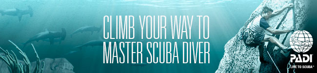 Master Scuba Diver is PADI’s highest recreational diving certification. This is where the best of the best come to play because the dive possibilities are endless. To become a PADI Master Scuba Diver you must log 50 dives and complete: Open Water, Adventures in Diving, Rescue Diver, and five specialty certifications.