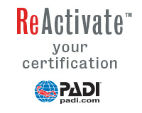 PADI ReActivate eLearning Scuba Review. | Scuba Center
