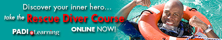 PADI Rescue Diver eLearning Course online | Online Diver Education Classes. | The PADI eLearning system brings student divers all the benefits of online computer based training, (eLearning) including student guidance, knowledge of results, flexibility and learner-based pacing. PADI eLearning provides the flexibility to attend knowledge development with minimal, fixed classroom time to help meet the demands of daily schedules and maximizing in water experience.