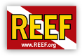 REEF was founded in 1990, out of growing concern about the health of the marine environment, and the desire to provide the SCUBA diving community a way to contribute to the understanding and protection of marine populations. REEF achieves this goal primarily through its volunteer fish monitoring program, the REEF Fish Survey Project. | Ocean Conservation and Marine Environment References
