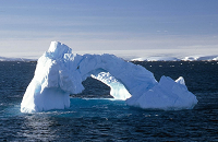 Antarctica | Photo: Tome Pederson | Scuba Center Dive Travel