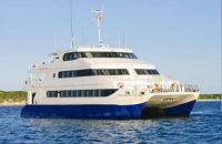 Aqua Cat Cruises | Exhumas Bahamas live-aboard group dive trip