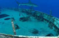 Aqua Cat Cruises | Exhumas Bahamas live-aboard trip | Aqau Cat | Bahamas Group Dive Trip