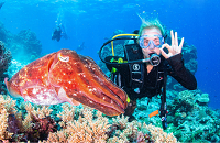 Great Barrier Reef Diving | Scuba Center