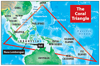 The Coral Triangle | Philippines Group Dive Trip with Scuba Center