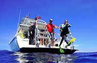 Ocean Encounters, the on-site dive and snorkeling operator at LionsDive Beach Resort, Curacao